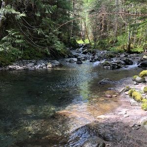 Meet your Posher, Caleb